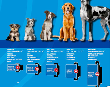 1 dog size chart