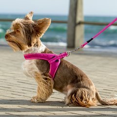 Rogz Utility Fast Fit Dog Harness X-Small