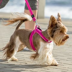 Rogz Utility Fast Fit Dog Harness Small/Medium fits 18.5in chest