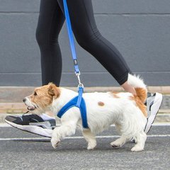 Rogz Dog Harness Fast Fit Medium 20.5in chest