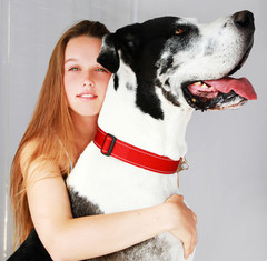 Rogz MegaDogz Dog Collar XXXL Fits Neck 27in - 39in
