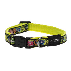 Rogz Side Release Collar Fancydress Jellybean Small