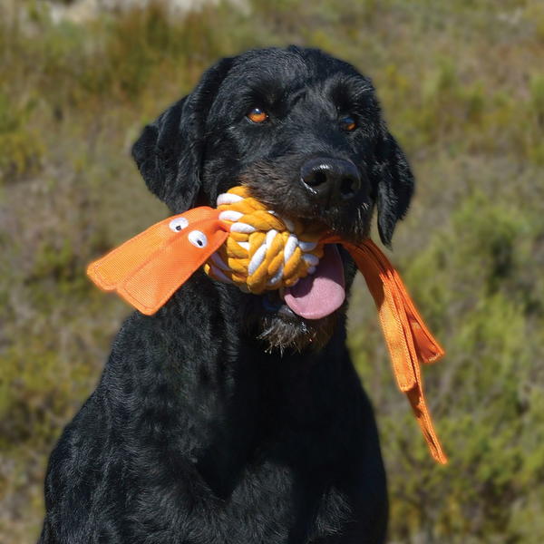 Cowboyz Rope Toy