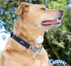 Rogz Dog Training Collar Reflective X-Large Lumberjack Fits 19-27in neck
