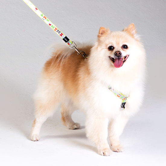 Dog Lead Lapz Trendy - Medium 1.8m-6ft