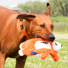 Rogz Dogz Toy Thinz - Large 13in